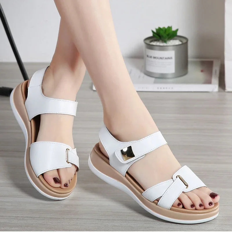 Lenie Wedge Sandals for Women