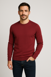 Stylish Slim Fit Knitted Sweater for Men