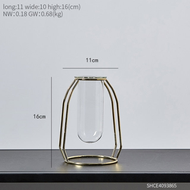 Amanda Glass Hydroponic Vase